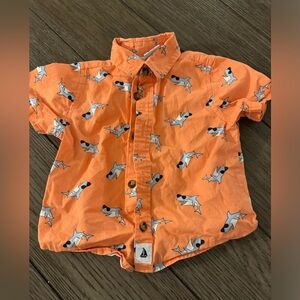 Short sleeve shark button down shirt 24m
